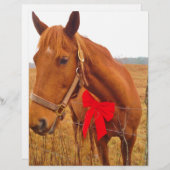 Brown Horse Red Bow (Front/Back)