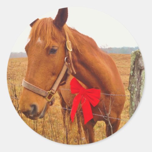 Brown Horse Red Bow Classic Round Sticker