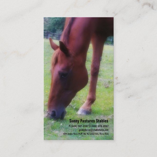 Brown Horse Riding Stables Boarding or Farrier Business Card (Front)