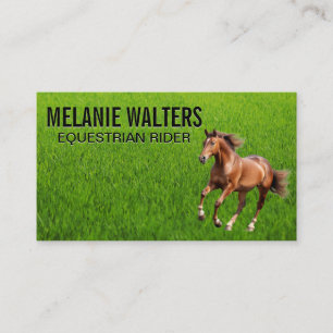 Brown Horse Running Business Card
