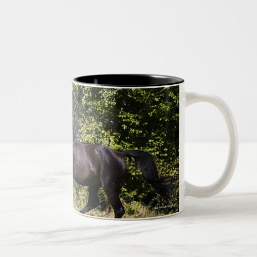 brown horse running on meadow Two_Tone coffee mug