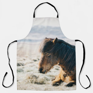 BROWN HORSE SITTING ON GRASS NEAR BEACH APRON