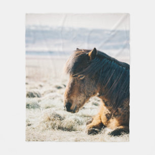 BROWN HORSE SITTING ON GRASS NEAR BEACH FLEECE BLANKET