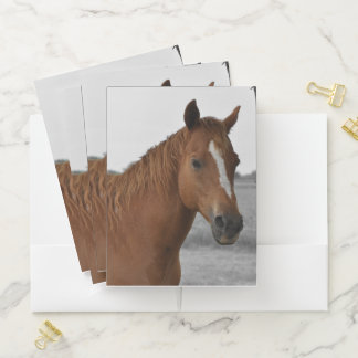 Brown Horse w/Black and White Background Pocket Folder