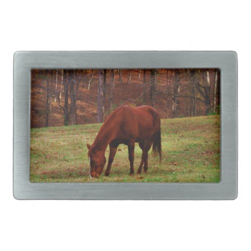 Brown Horse w White Nose at Woods Edge Belt Buckle