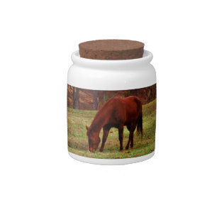 Brown Horse w/ White Nose at Woods Edge Candy Jar