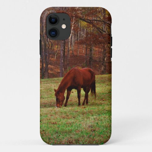 Brown Horse w White Nose at Woods Edge iPhone 11 Case