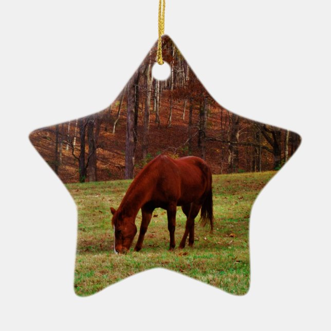 Brown Horse w/ White Nose at Woods Edge Ceramic Ornament (Front)