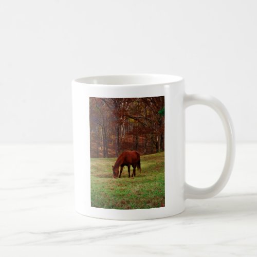 Brown Horse w White Nose at Woods Edge Coffee Mug