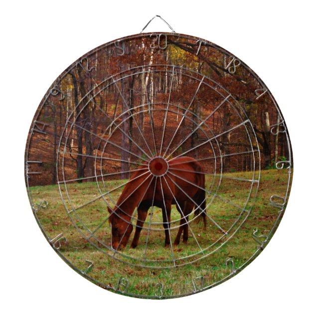 Brown Horse w/ White Nose at Woods Edge Dartboard With Darts (Front)