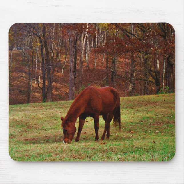 Brown Horse w/ White Nose at Woods Edge Mouse Pad (Front)