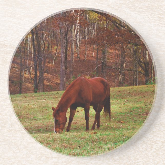 Brown Horse w/ White Nose at Woods Edge Sandstone Coaster (Front)