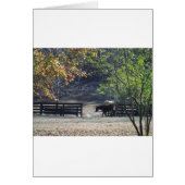 Brown Horse walking through Fence (Front)