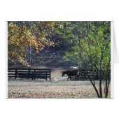 Brown Horse walking through Fence (Front Horizontal)