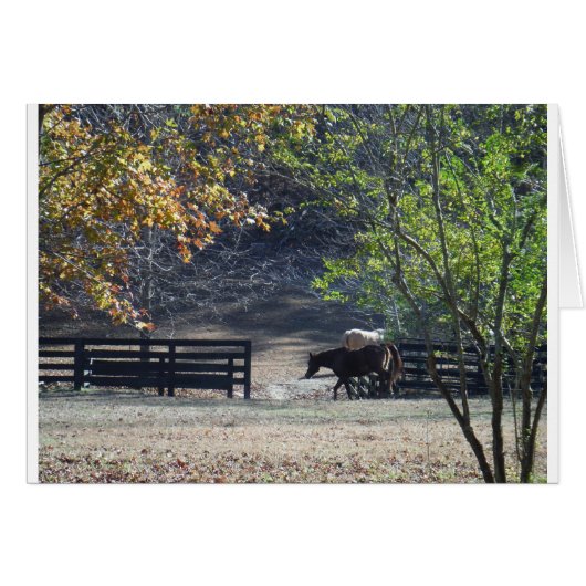 Brown Horse walking through Fence (Front Horizontal)