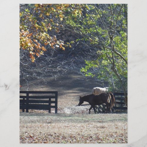 Brown Horse walking through Fence