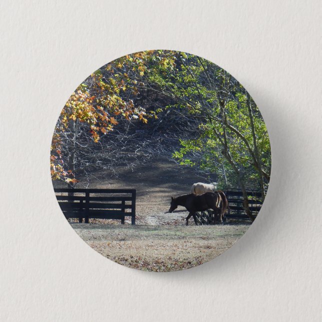 Brown Horse walking through Fence Button (Front)