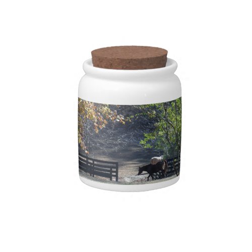 Brown Horse walking through Fence Candy Jar