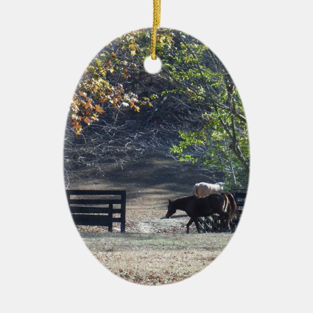 Brown Horse walking through Fence Ceramic Ornament (Front)