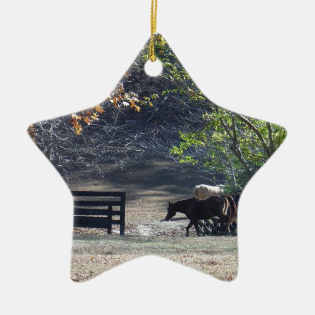 Brown Horse walking through Fence Ceramic Ornament (Front)