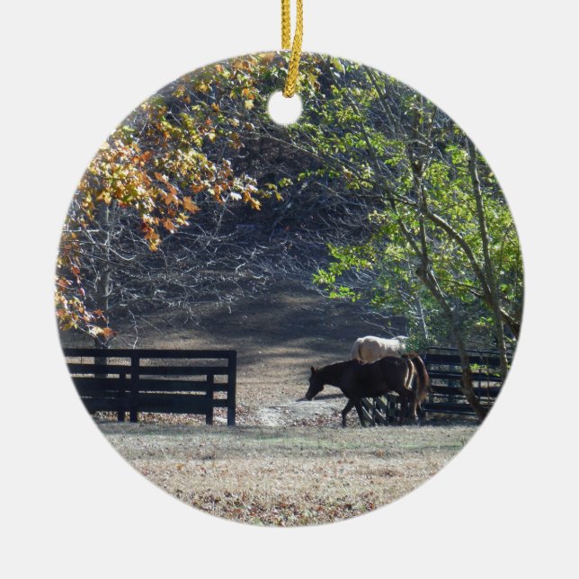 Brown Horse walking through Fence Ceramic Ornament (Front)