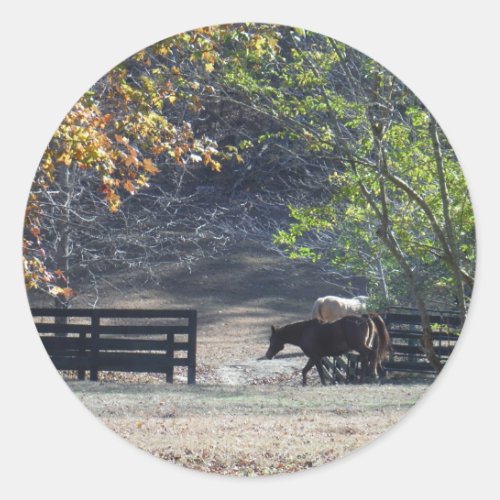 Brown Horse walking through Fence Classic Round Sticker