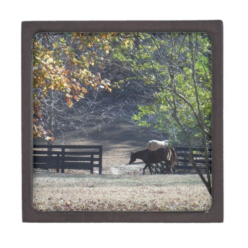 Brown Horse walking through Fence Gift Box