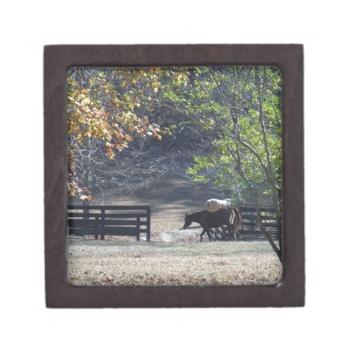 Brown Horse walking through Fence Keepsake Box