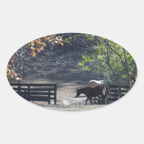 Brown Horse walking through Fence Oval Sticker