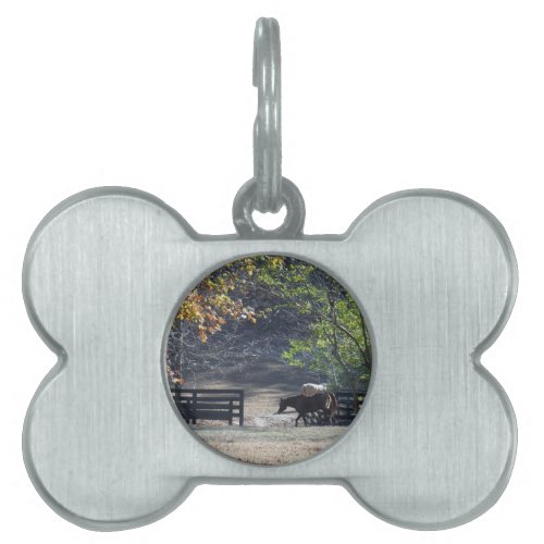 Brown Horse walking through Fence Pet ID Tag