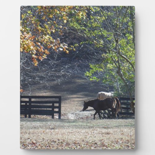 Brown Horse walking through Fence Plaque