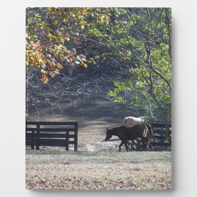 Brown Horse walking through Fence Plaque (Front)