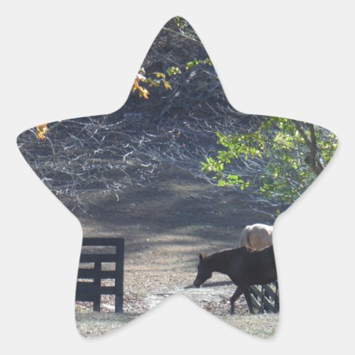 Brown Horse walking through Fence Star Sticker