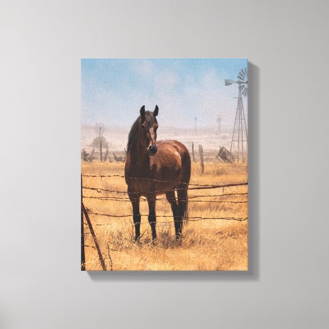 Brown Horse Windmill Field Blue Sky Art Canvas Print (Front)