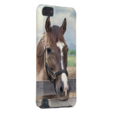 Brown Horse with Bridle Customizable iPod Touch 5G Case (Back/Right)