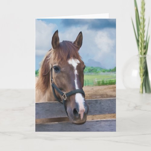 Brown Horse with Bridle Note or Greeting Card