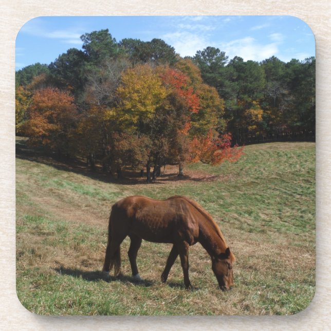 Brown horse with fall trees beverage coaster (Front)