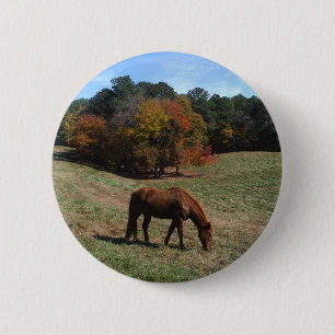 Brown horse with fall trees button