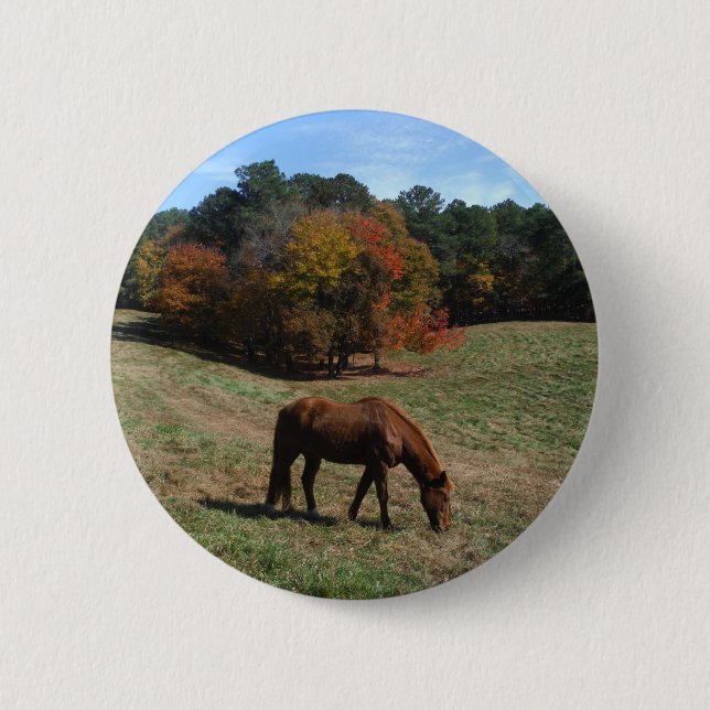 Brown horse with fall trees button (Front)