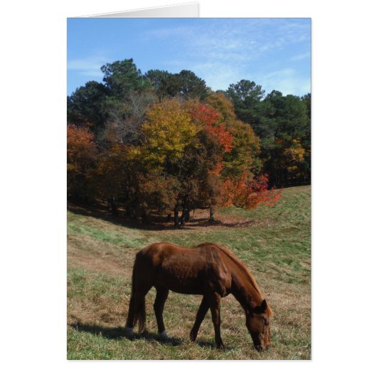 Brown horse with fall trees cards (Front)