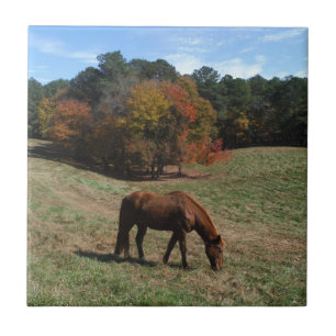 Brown horse with fall trees ceramic tile