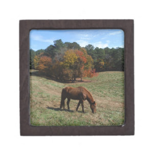 Brown horse with fall trees keepsake box