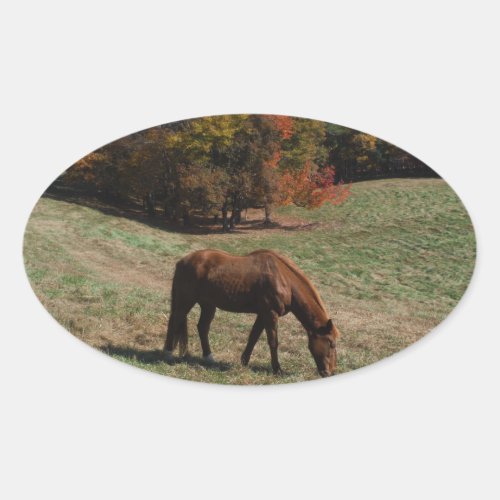 Brown horse with fall trees oval sticker