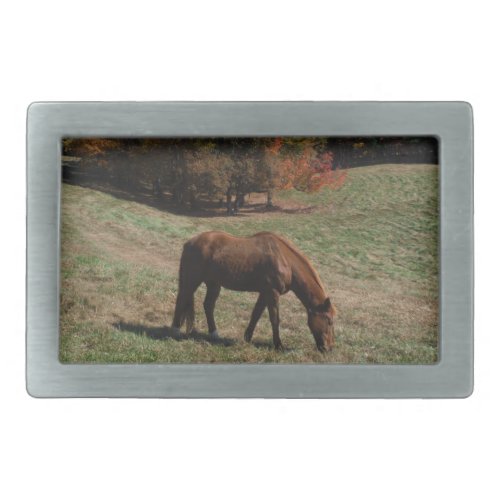 Brown horse with fall trees rectangular belt buckle