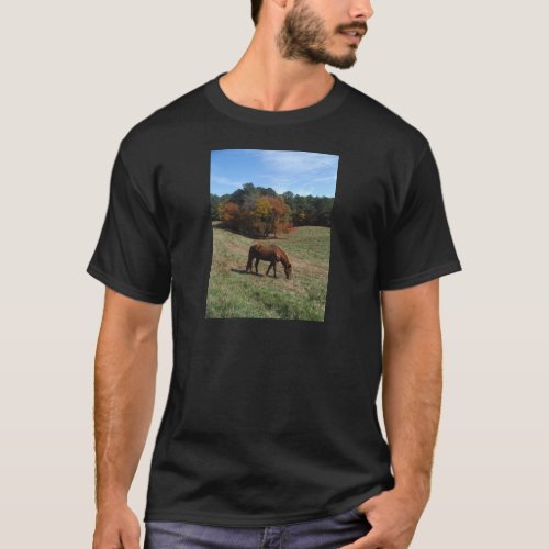 Brown horse with fall trees T_Shirt