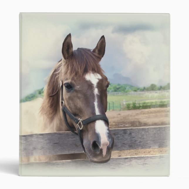 Brown Horse with Halter Binder (Front)