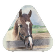 Brown Horse with Halter Bluetooth Speaker