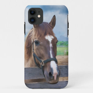 Brown Horse with Halter iPhone 11 Case