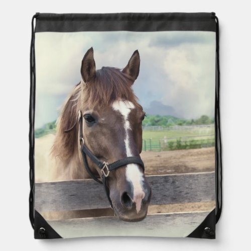 Brown Horse with Halter Drawstring Bag