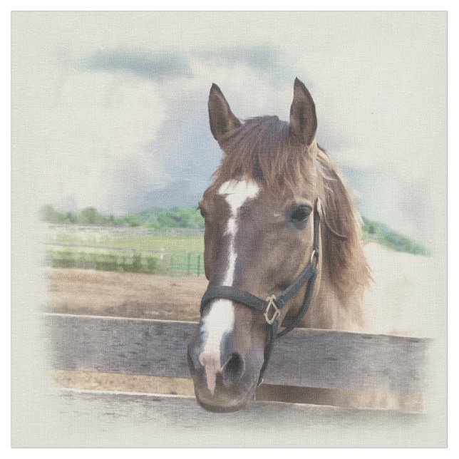 Brown Horse with Halter Fabric (Close Up)